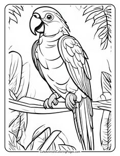 Line art illustration of a parrot perched on a branch surrounded by tropical foliage, suitable for coloring activities. Parrot Outline, Animal Coloring Pages Free Printable, Parrot Coloring Page, Cute Animals Coloring Pages, Birds Coloring Pages, Cute Animals Coloring, Beautiful Parrots, Parrot Drawing, Bird Coloring