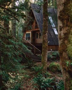 a cabin in the woods with stairs leading up to it