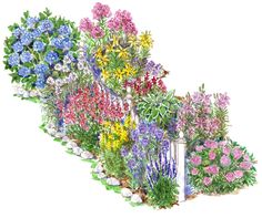 a garden with many different types of flowers