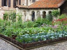 an outdoor garden with lots of plants growing in the ground next to a stone building