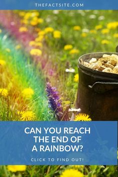 a bucket full of cereal sitting on top of a grass covered field next to flowers