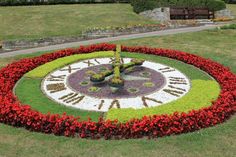 a clock made out of flowers in the middle of a garden with trees and bushes