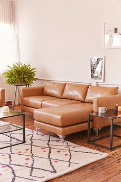 a living room with a couch, coffee table and potted plant in the corner