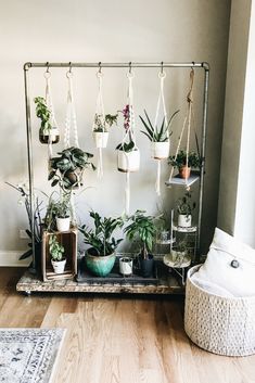 there are many potted plants hanging on the wall next to each other in this room