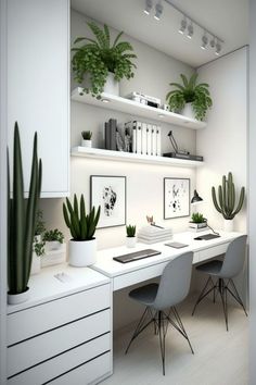 a desk with two chairs and some plants