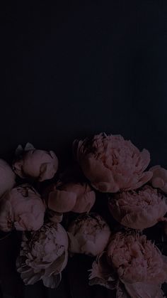 a bunch of flowers sitting on top of a radiator