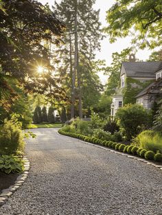 a gravel driveway surrounded by trees and bushes in front of a large house with sun shining through the trees