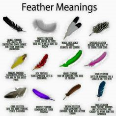 a poster with different types of feathers on the front and back of it, including one that says feather meaningss