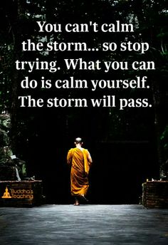 Calm through the storm. Calm Yourself, Quotes About Moving, Calming The Storm, Inspirational Quotes About Success, Buddha Quote, Buddha Quotes, My Self, Quotes About Moving On, Moving On