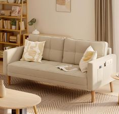 a living room filled with furniture and bookshelves