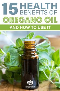 Benefits Of Oregano, Oregano Oil Benefits, Oregano Essential Oil, Diy Essential Oil Recipes, Oregano Oil, Natural Antibiotics, Essential Oil Benefits, Herbs For Health, Oil Benefits