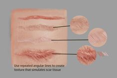 the different types of eyelashes are shown in this diagram