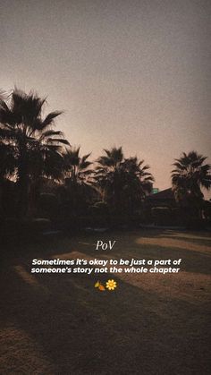 the sun is setting behind palm trees with a quote on it that reads pov sometimes it's okay to just put part of someone's story in the whole charter