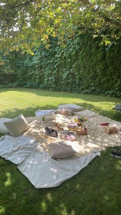 an outdoor picnic is set up on the grass