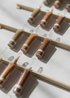 several wooden sticks are lined up on a white surface with some brown and silver items in them