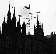 black and white photograph of gothic architecture with bats flying in the sky