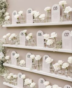 white flowers in vases are arranged on the wall next to each other and numbered with numbers