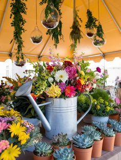 many potted plants and flowers under a tent