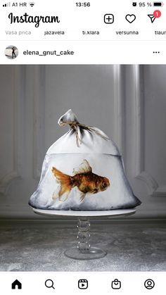 an image of a goldfish in a bag on top of a glass cake plate