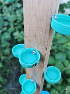 there are many blue cups on the wooden pole