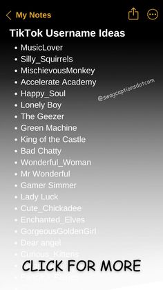 an iphone screen with the text'tik tok username ideas '