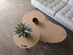 a coffee table with a plant on top