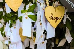 a bunch of tags hanging from a tree with leaves on them that say hope and are attached to the strings