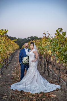 a bride and groom standing in the middle of a vineyard at their wedding day, posing for a photo