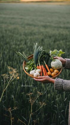 a person holding a bowl full of vegetables in front of a wheat field at sunset