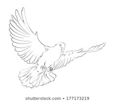 a drawing of a bird flying with its wings spread