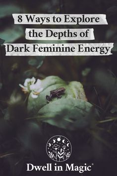 a frog sitting on top of a green leaf in the forest with text that reads 8 ways to explore the depths of dark feminine energy