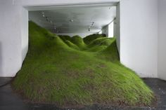 an art installation with grass growing out of the ground in a white walled room,