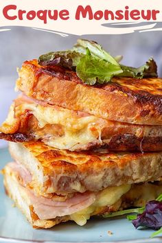 a close up of a sandwich on a plate with lettuce and tomato garnish