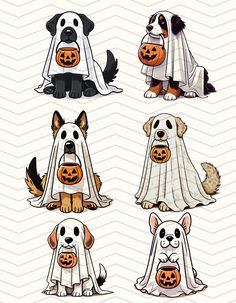 four dogs in halloween costumes with pumpkins on their heads and one dog wearing a ghost costume