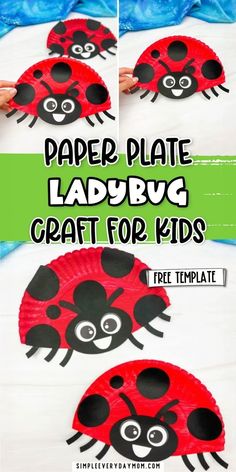 paper plate ladybug craft for kids with instructions to make the ladybug