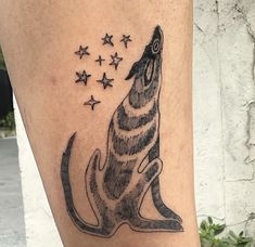 a tattoo on the leg of a person with a wolf and stars in it's tail