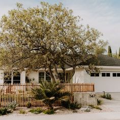 a house with a tree in front of it