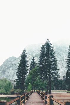 a wooden bridge over a lake surrounded by tall pine trees and mountains in the background