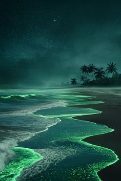 an image of the ocean at night with stars in the sky and palm trees on the shore