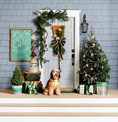 a dog sitting in front of a door surrounded by christmas decorations