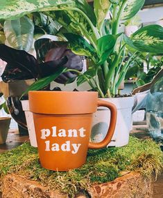 a plant pot sitting on top of a stump with plants in it and the words plant lady printed on it