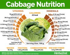 cabbage nutrition chart with the highest calories and low carbohydrates in each section