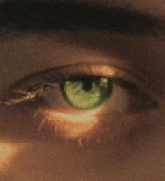 a close up view of an eye with green eyeshade and long eyelashes, looking into the distance