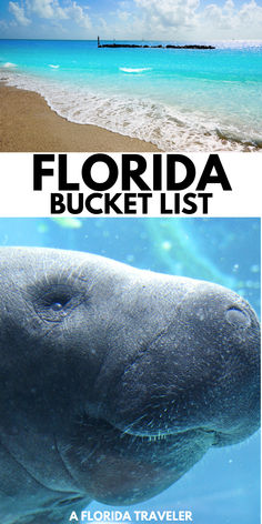 There are so many epic things to do in Florida. Here is the best Florida bucket list for your next Florida vacation.