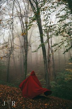 a red cloaked person sitting in the middle of a forest