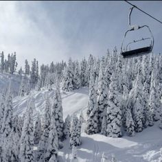 a ski lift going up the side of a snow covered mountain with lots of trees