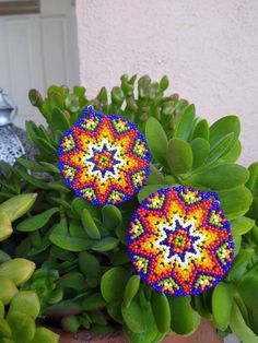 Circular Earrings, Beautiful Beadwork, Brick Stitch Pattern, Beaded Jewelry Patterns, Colour Star, Brick Stitch, Choker Necklaces, Earrings Etsy, Bead Designs