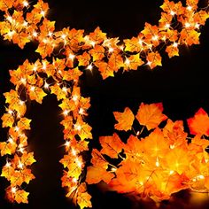 lighted autumn leaves are arranged in the shape of a horse head on a black background