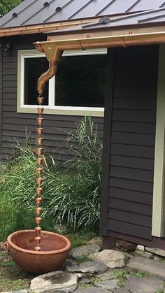 a large potted plant sitting on top of a stone walkway next to a house