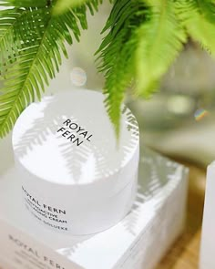 a white box sitting on top of a wooden table next to a green leafy plant